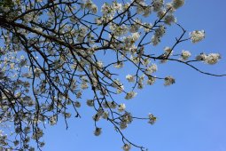 Bergklub: Grammel (575 m.ü.M.)