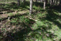 Bergklub: Grammel (575 m.ü.M.)