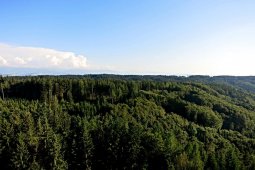 Bergklub: Chutzenturm (45m) (820 m.ü.M.)